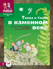 Тимка и Тинка в каменном веке. Развивающие игры