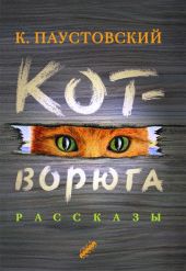 Кот-Ворюга