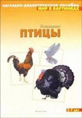 Домашние птицы. Мир в картинках