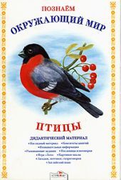 Дидактический материал. Птицы