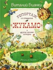 Репортаж со стадиона Жукамо