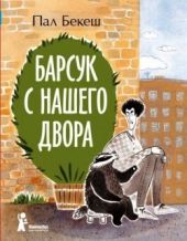 Барсук с нашего двора
