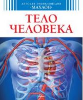 Тело человека