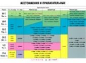 Местоимения и прилагательные. Учебная грамматическая таблица