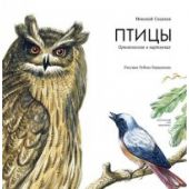 Птицы. Орнитология в картинках