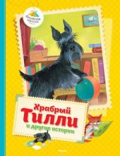 Храбрый Тилли и другие истории