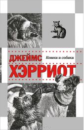 Кошки и собаки