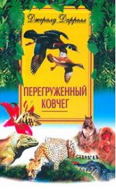 Перегруженный ковчег