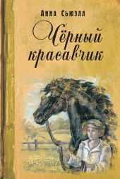 Черный красавчик