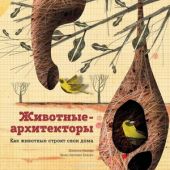 Животные-архитекторы. Как животные строят свои дома