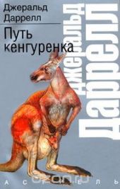 Путь кенгуренка