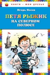 Петя Рыжик на Северном полюсе