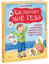 Как работает мое тело