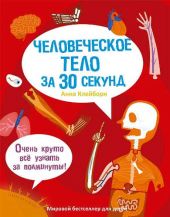 Человеческое тело за 30 секунд