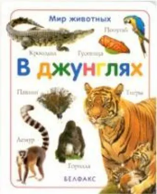 В джунглях