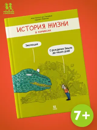 История жизни в комиксах