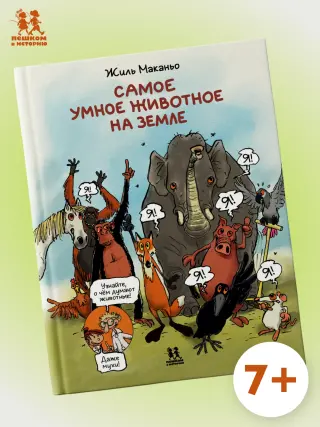 Самое умное животное на Земле