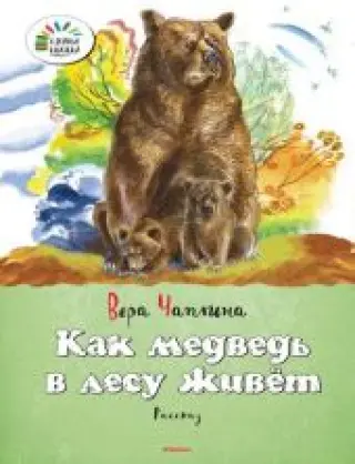 Как медведь в лесу живет
