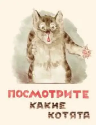 Посмотрите, какие котята!