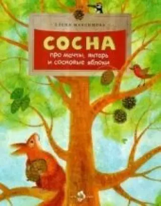 Сосна. Про мачты, янтарь и сосновые яблоки