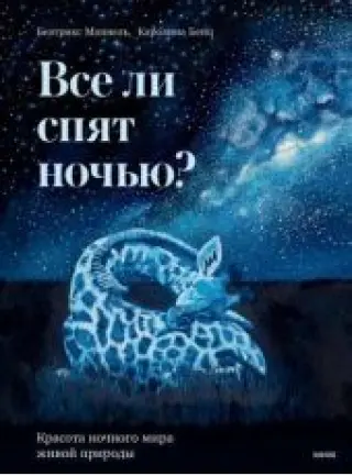 Все ли спят ночью?