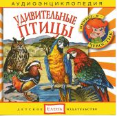 Удивительные птицы. Аудиоэнциклопедия дяди Кузи и Чевостика (CD)