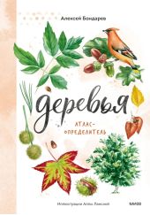 Деревья. Атлас-определитель